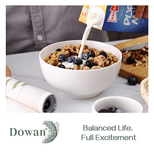 DOWAN 22 OZ White Ceramic Bowls Set of 4 - Perfect for Soup Bowls for Kitchen, Cereal Bowl, Ramen Bowl, Microwave Safe for Oatmeal, Fruit,Salad and Rice Bowl - Dishwasher & Microwave Safe
